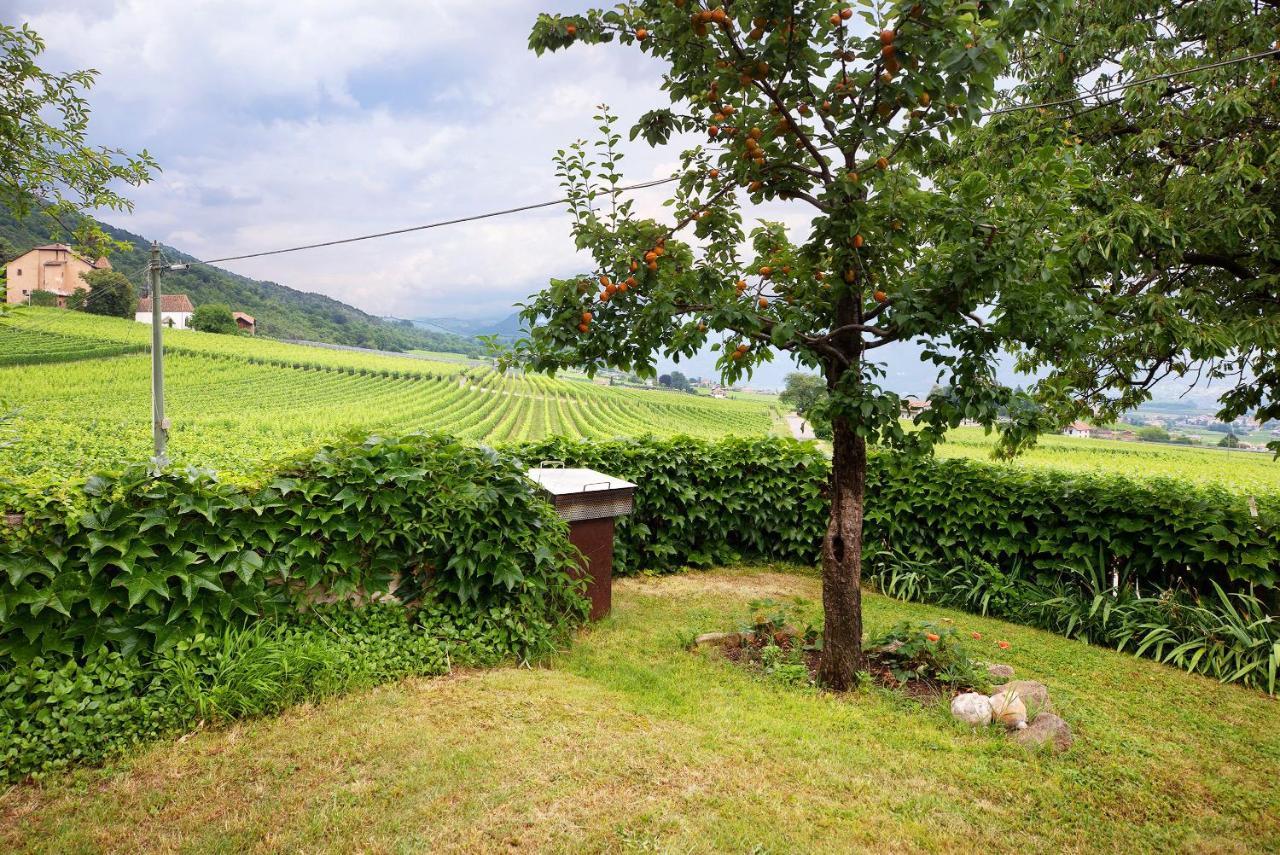 Harmony Apt 2 Appiano Sulla Strada Del Vino Kültér fotó